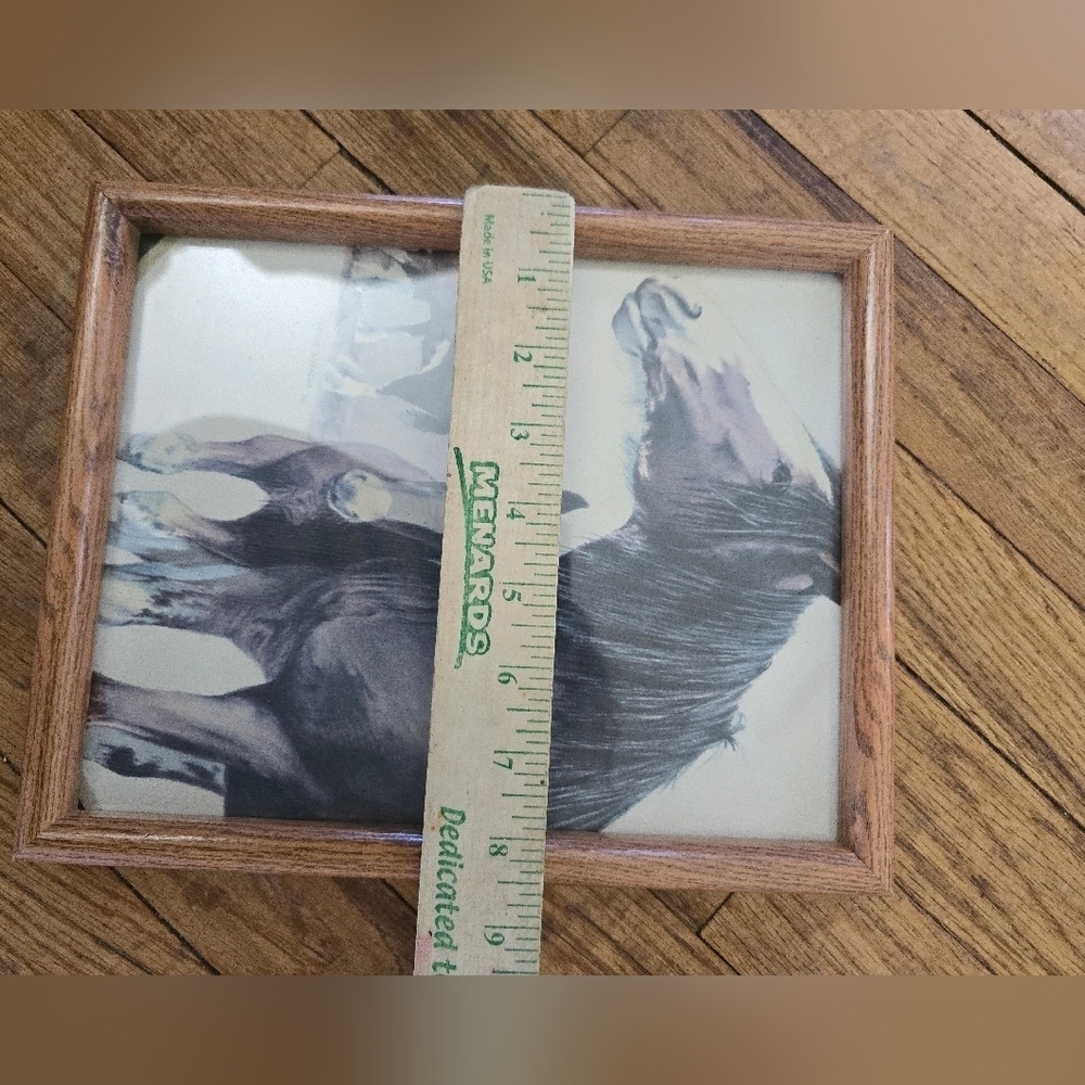 Framed Richard Dick Lynch Pencil Drawing? of Horses 1976 Mom & Fowl - Picture 8 of 8